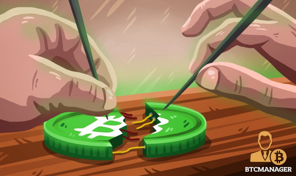 Bitcoin cash fork may 2019